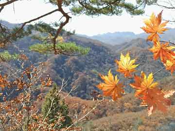 澳門六開彩開獎結果查詢，全面解讀與說明（非娛樂相關內容），實地數據驗證執行_書版28.96.73