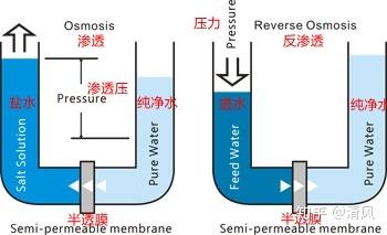 濾膜過濾器示意圖,濾膜過濾器示意圖與經典分析說明——DP43.19.15詳解,深入數據執行應用_鉛版68.57.90