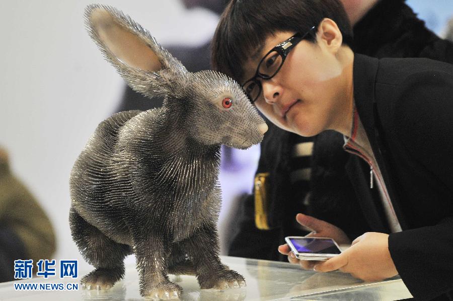 動物皮毛護理,動物皮毛護理與實地執行考察數據的重要性，Chromebook在動物保護事業中的應用,迅捷解答問題處理_Advanced25.78.15