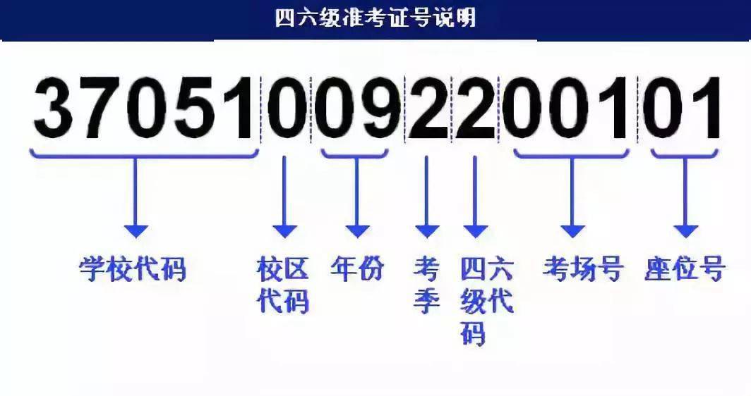 澳門最快開獎?wù)?18186,澳門最快開獎?wù)九c迅捷解答計劃的專業(yè)解讀,專業(yè)解析說明_Pixel86.14.12