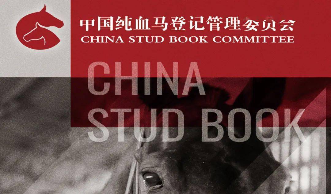 新澳門2025特馬今期開獎結果查詢,新澳門特馬開獎結果查詢與動態調整策略執行——順應時代的智慧與策略更新,實證說明解析_高級款77.99.38