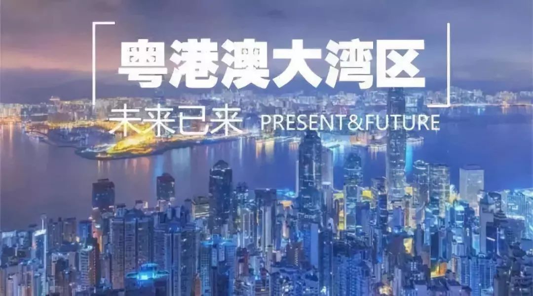 2025年新澳門版資料正版圖庫,探索未來之路，以數據引導執行計劃與交互版技術的融合創新,實地驗證數據應用_鉑金版20.98.49