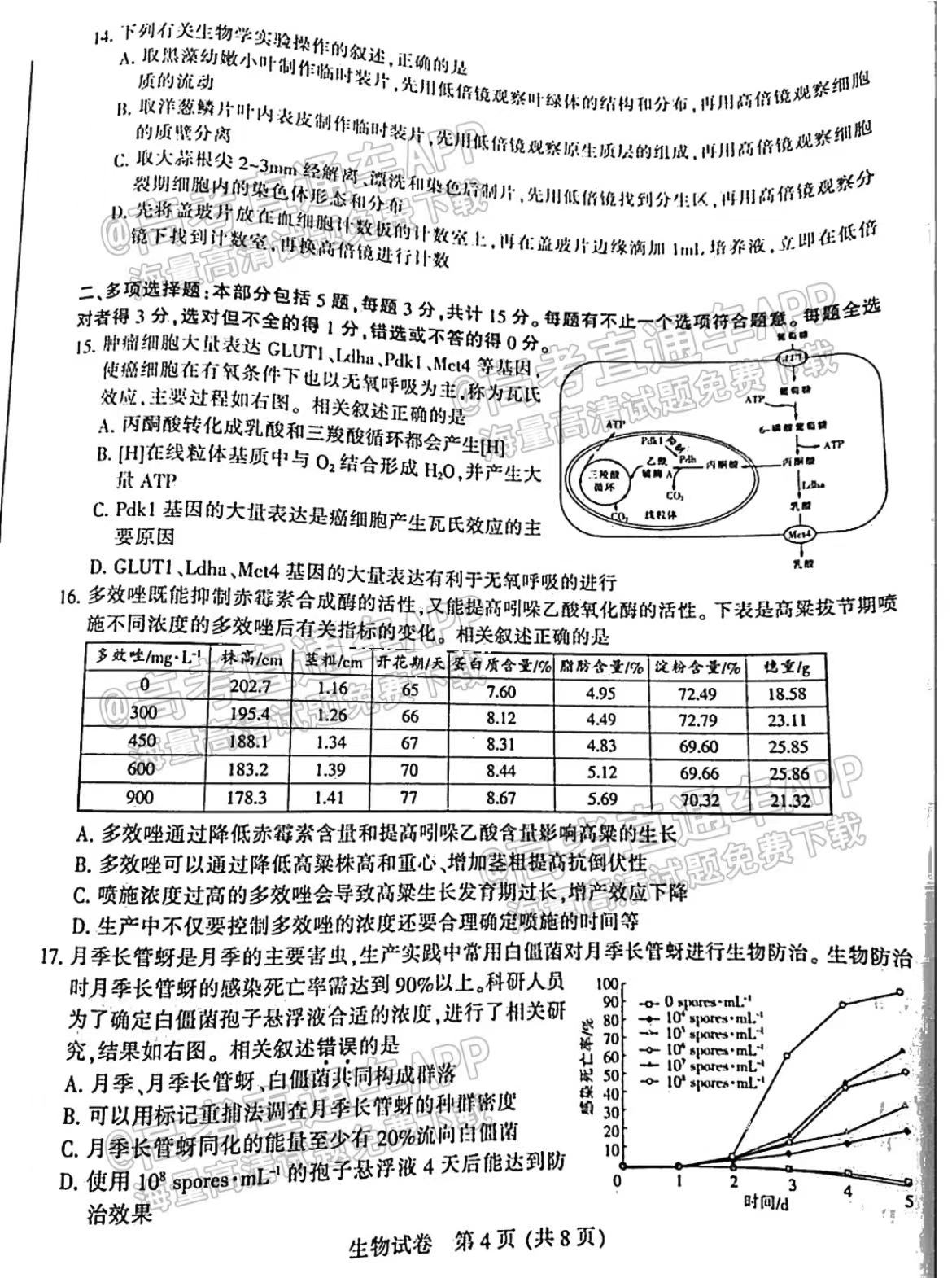 1肖一碼100%準(zhǔn)澳門,肖一碼理論研究解析，澳門精準(zhǔn)預(yù)測的探討,深度調(diào)查解析說明_鋟版53.83.95