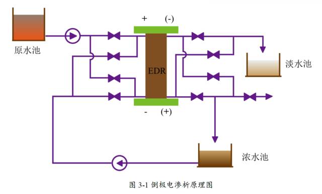 2024年12月 第10頁