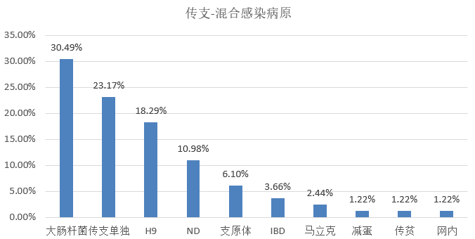 2025年1月2日