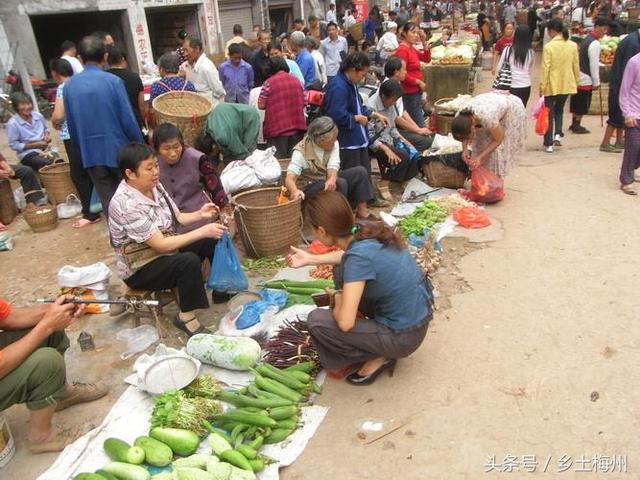 南川中圖村今年種糧賺了54萬元