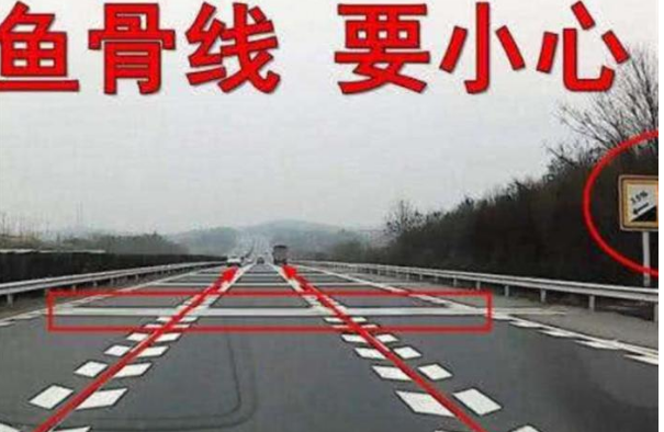 道路立桿上攝像頭密集？交警通報