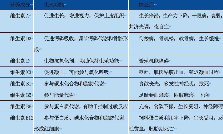 澳門最快精準資料大全與高效性計劃實施，探索成功的藍圖，高效方法解析_盜版13.15.65