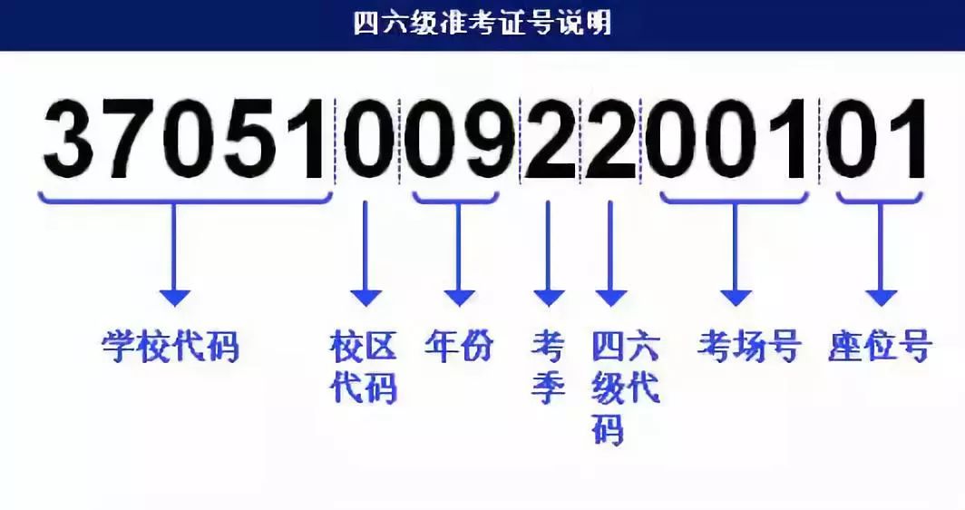 劉伯溫五肖八碼鳳凰網(wǎng)，實效策略分析與專業(yè)解讀，可靠解答解釋定義_版蕩38.91.86