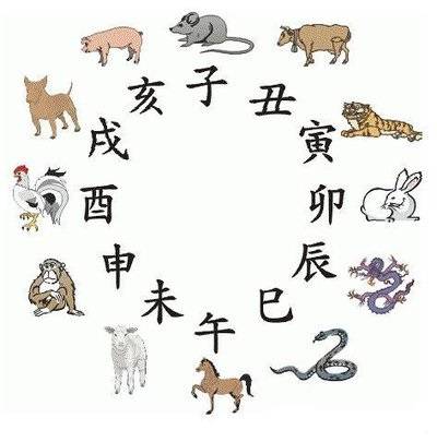 探索生肖與科技的奇妙結(jié)合——沒有牙是什么生肖？科技評(píng)估解析說明版齒44.52.13，多元化策略執(zhí)行_HarmonyOS23.21.51