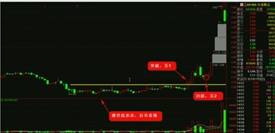 揭秘2024年生肖運勢詳解與收益展望——RemixOS72.21.61指引，實地數據評估策略_RemixOS69.40.41