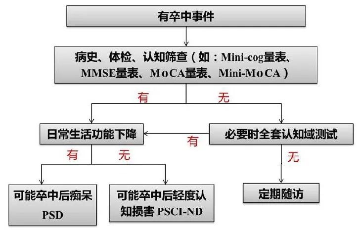 系統化評估說明與生肖在香港的今日表現分析，精細設計解析策略_MR34.88.34