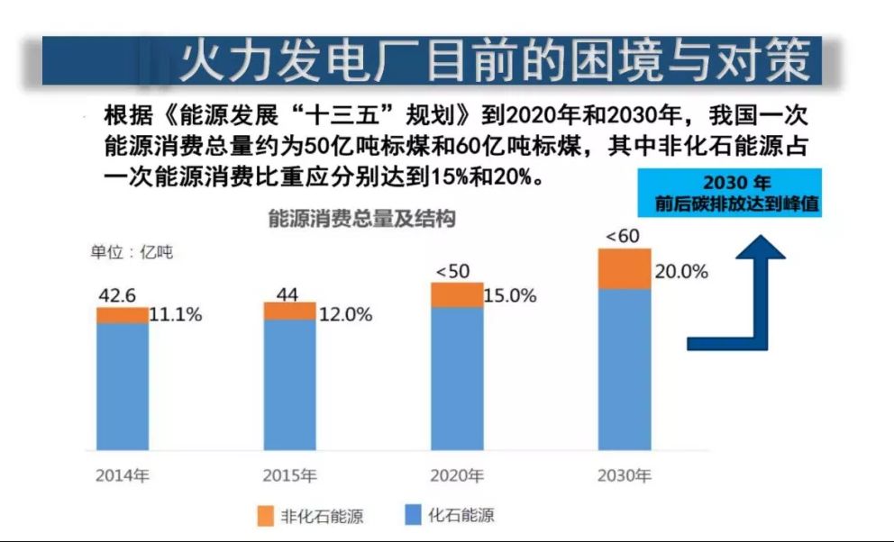 八百劇情深度解析與靈活性策略解析，動(dòng)態(tài)說明解析_懶版99.22.30